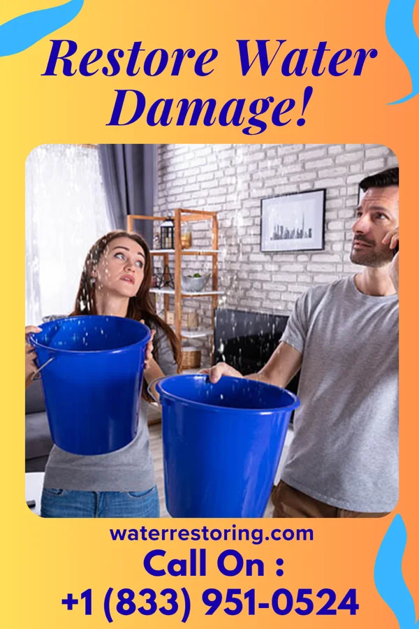 water restoration Rapid Water Solutions Professionals Genoa City