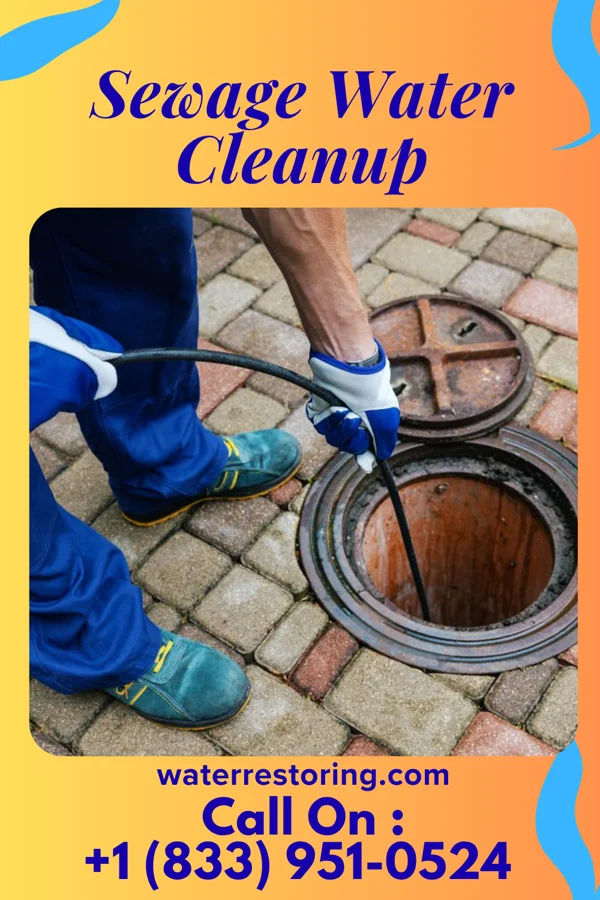 Sewage Water Cleanup in Genoa City, WI